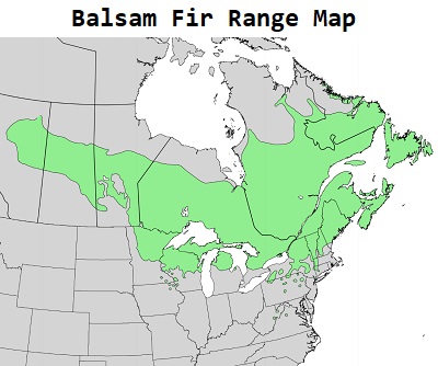 Balsam firm map